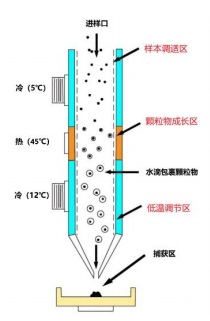 SS110B-2.jpg